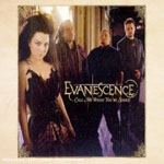 Evanescence - Call Me When You're Sober